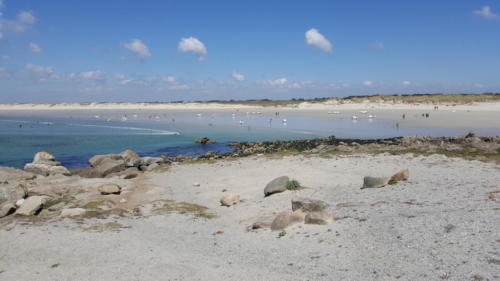 Surf à la torche